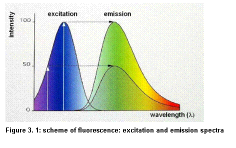 Textfeld:  
Figure 3. 3: scheme of fluorescence: excitation and emission spectra

