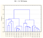 Webfigure 2: