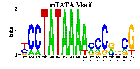 mTATA Box: