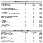 Table 3: