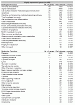 Webtable 2: