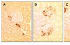 Figure 4: Figure 4: