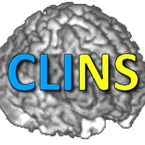 CLINS