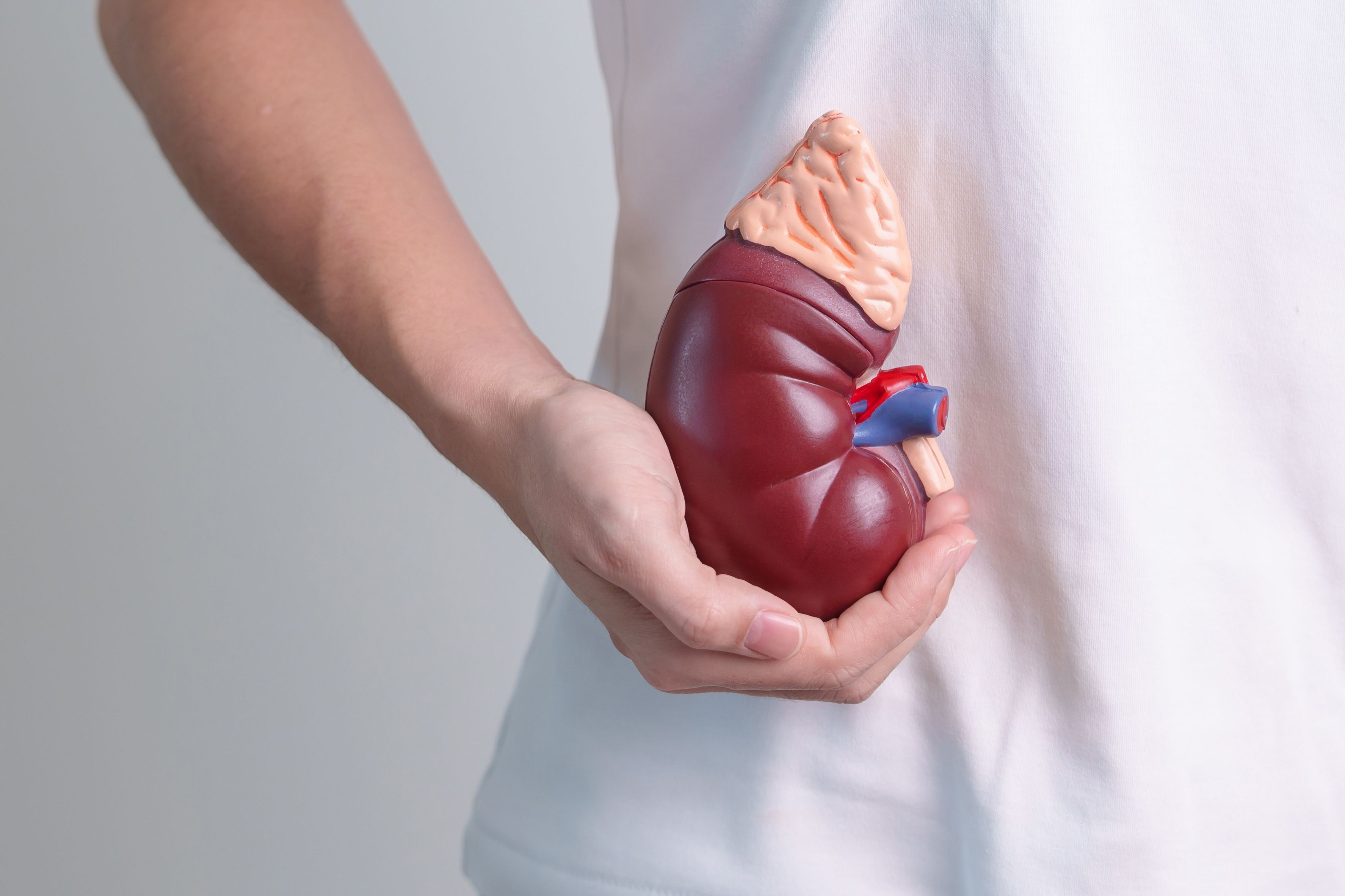 (c) 2023 Jo Panuwat D/Shutterstock