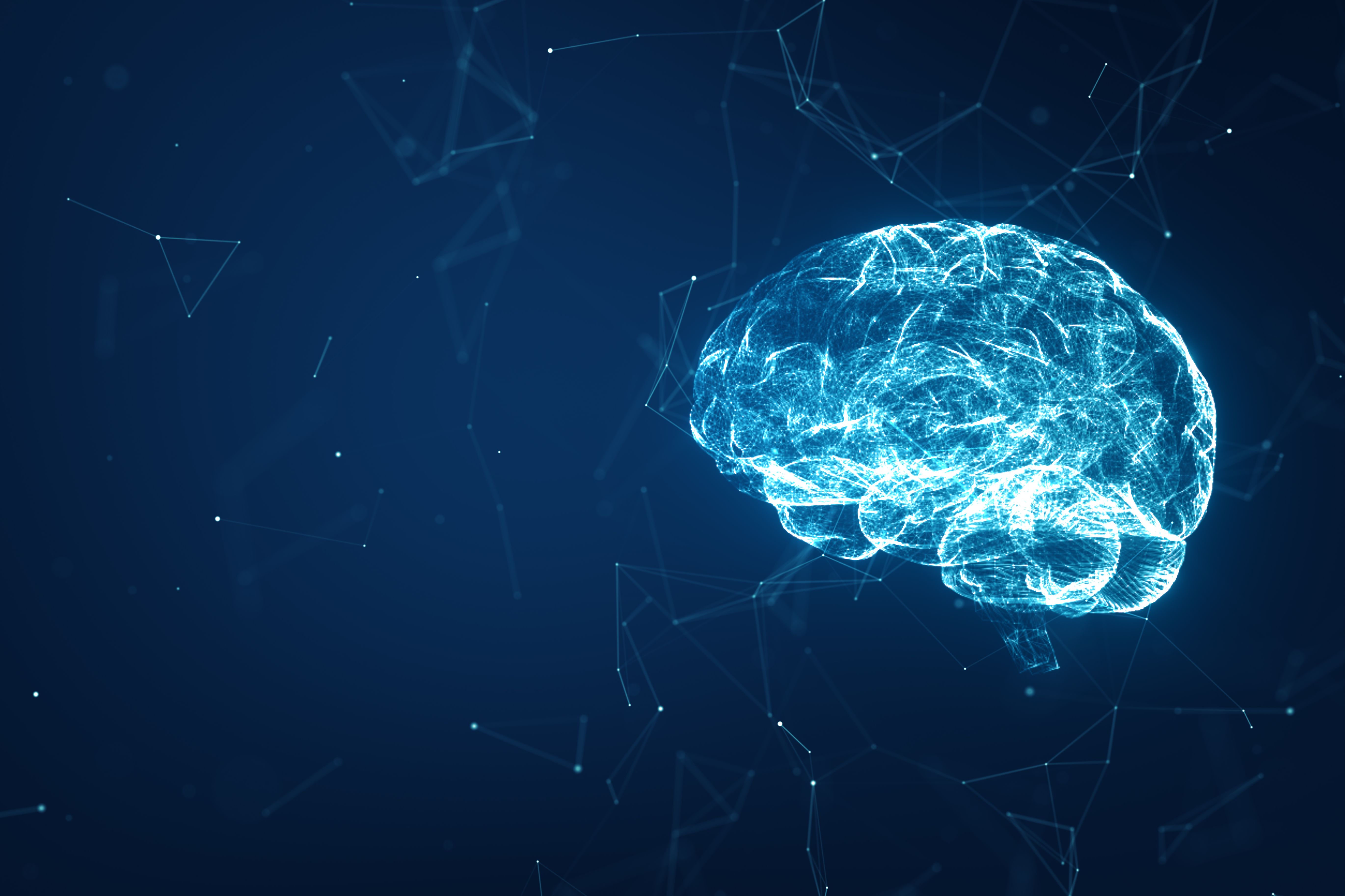 (c) 2021 your/Shutterstock