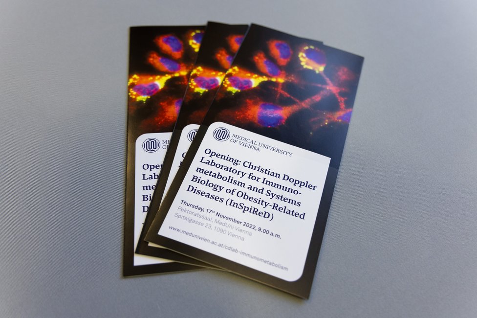 © MedUni Wien/feelimage © MedUni Wien/feelimage