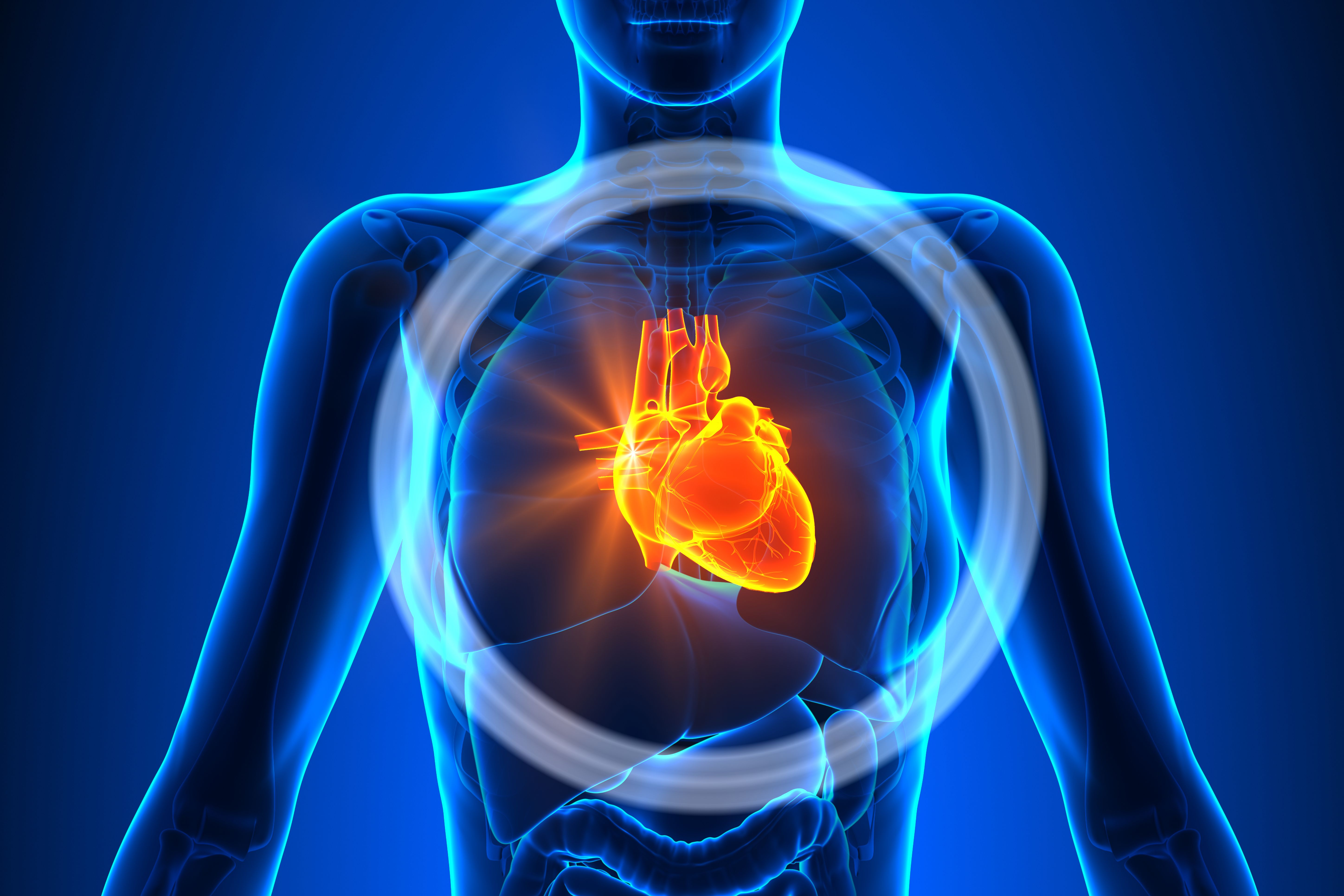 (c) 2014 decade3d - anatomy online/Shutterstock