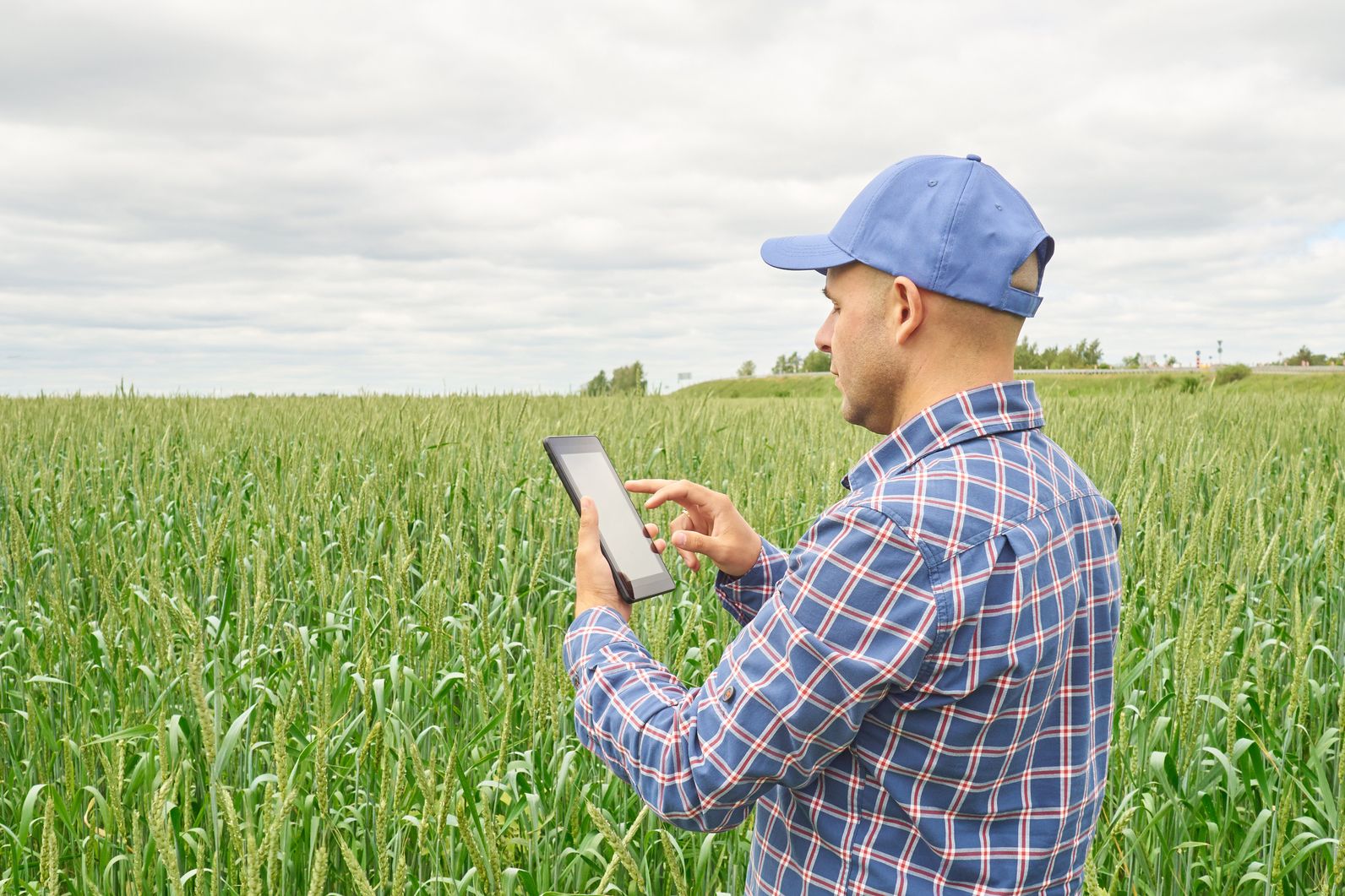 Man stands with tablet computer in a field