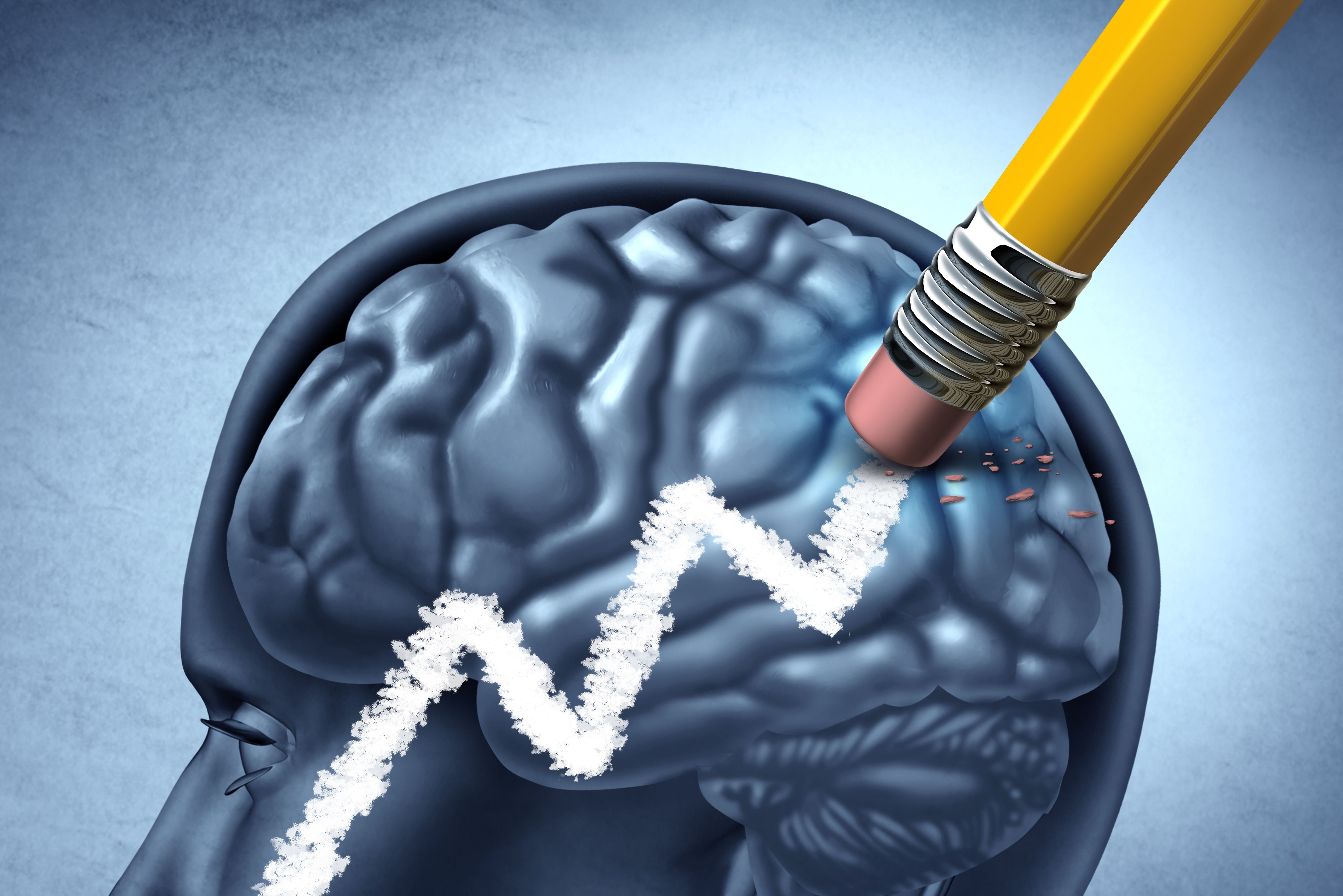 (c) 2023 Lightspring/Shutterstock