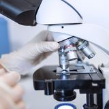 Photoroyalty/Shutterstock