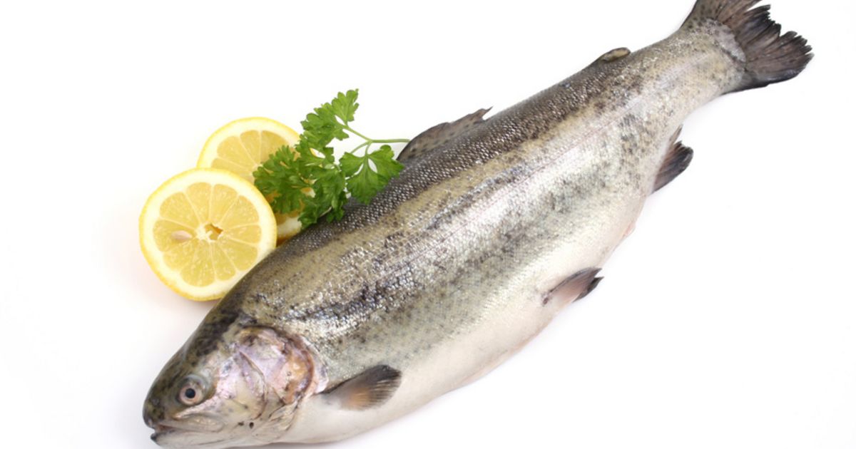 Fischallergie: Kollagen wird als wichtiges Allergen oft übersehen