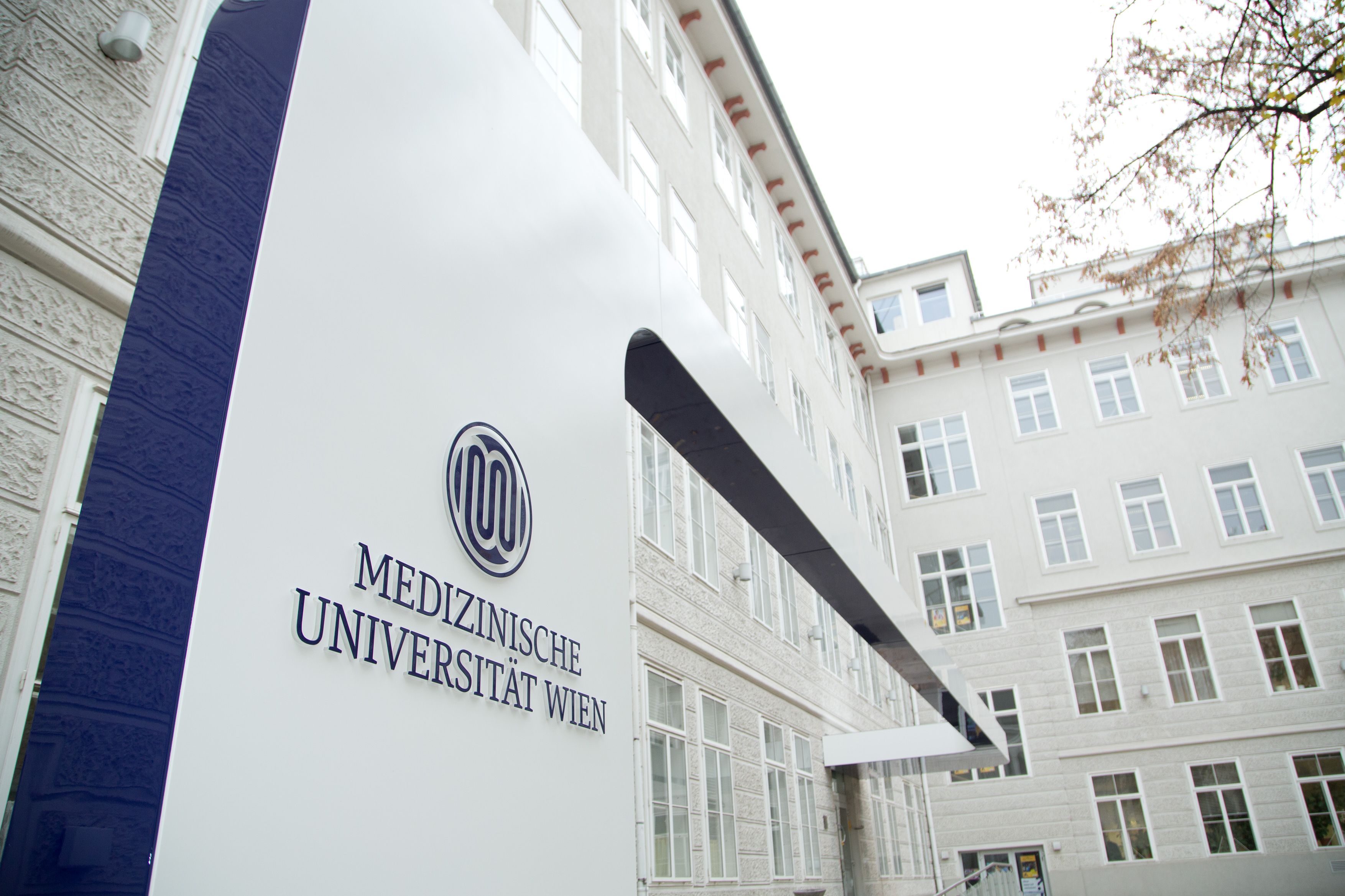 MedUni Vienna is among the 60 best medical universities in the world |  MedUni Vienna