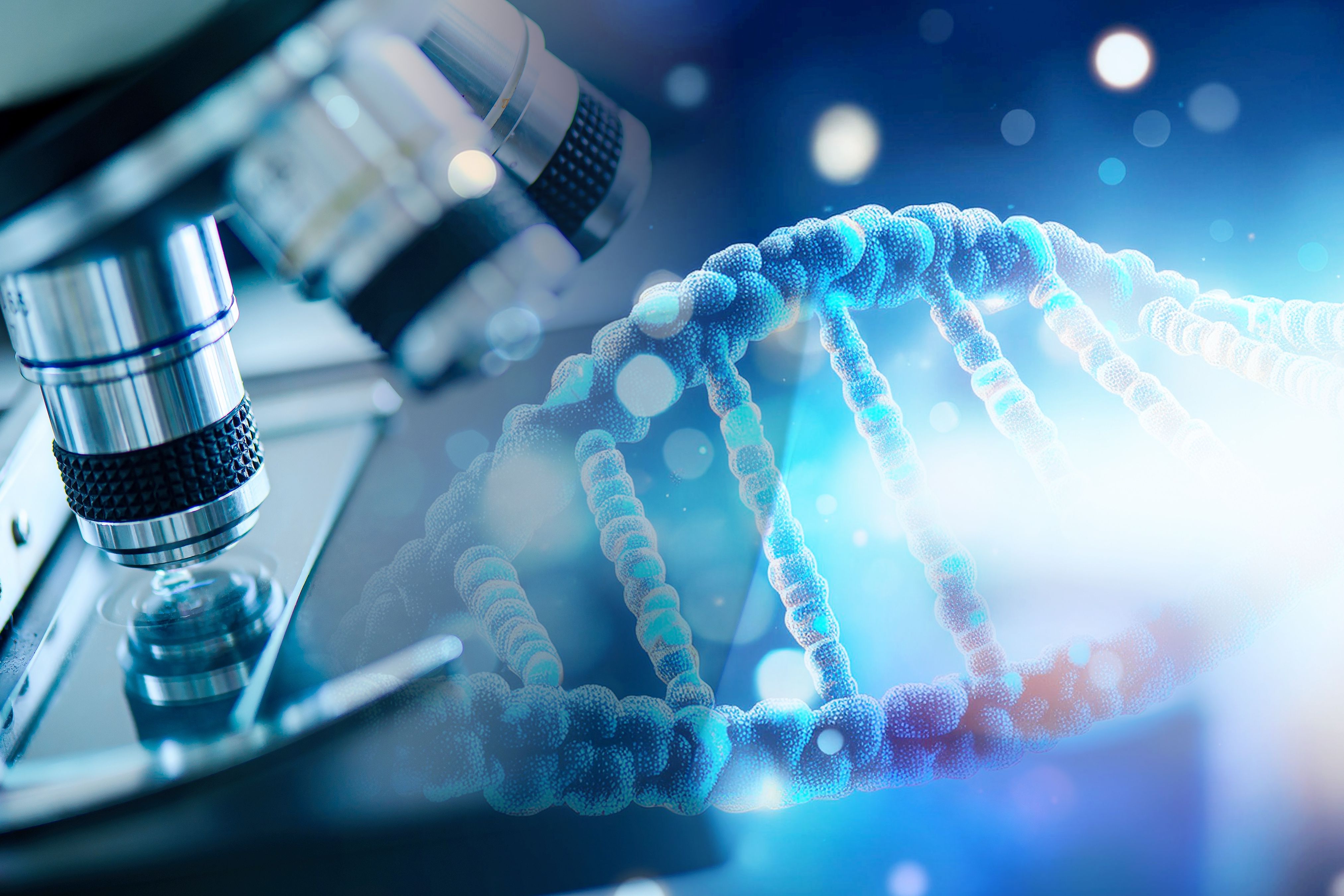 Copyright (c) 2024 totojang1977/Shutterstock