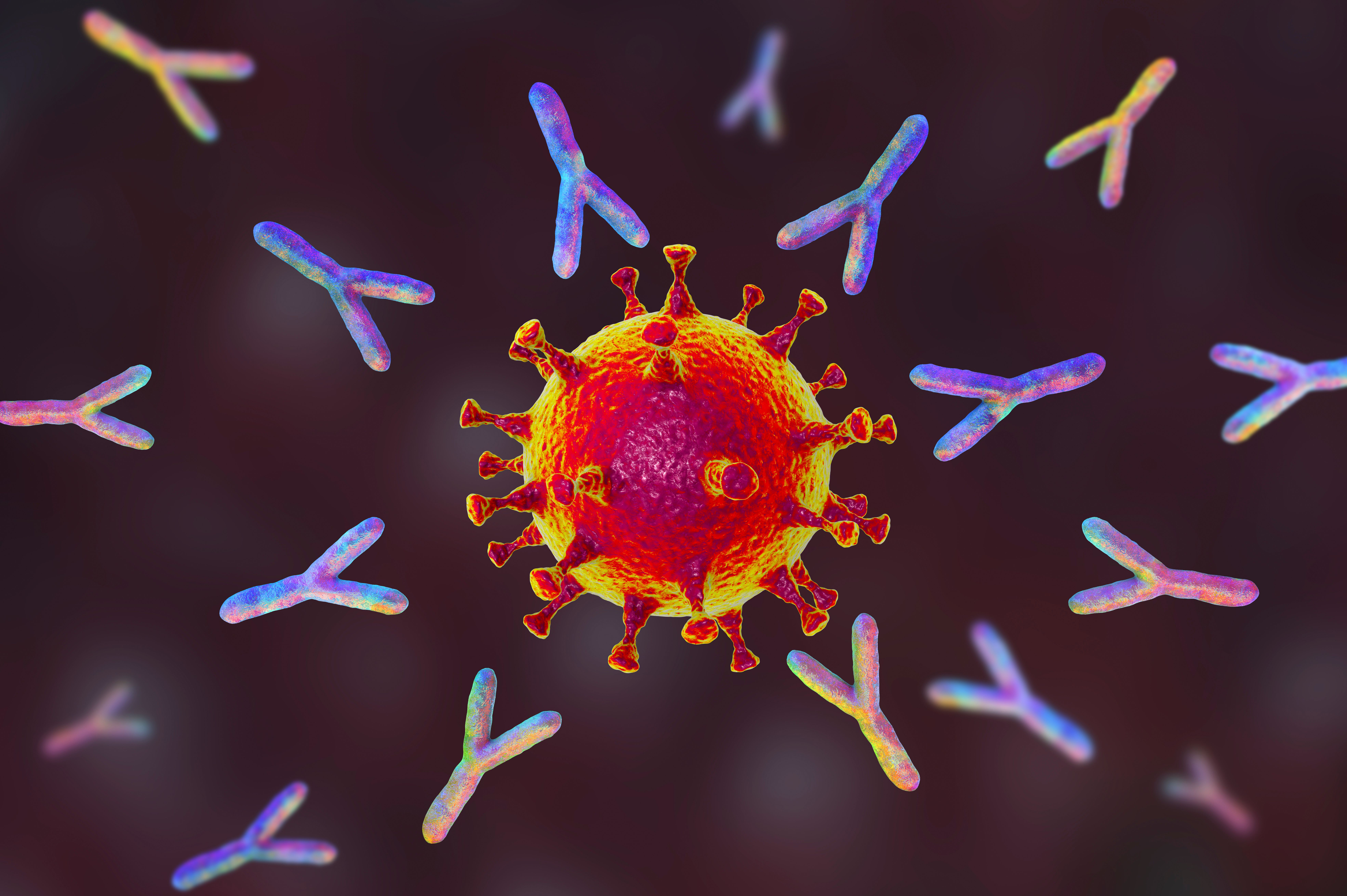 (c) 2020 Kateryna Kon/Shutterstock