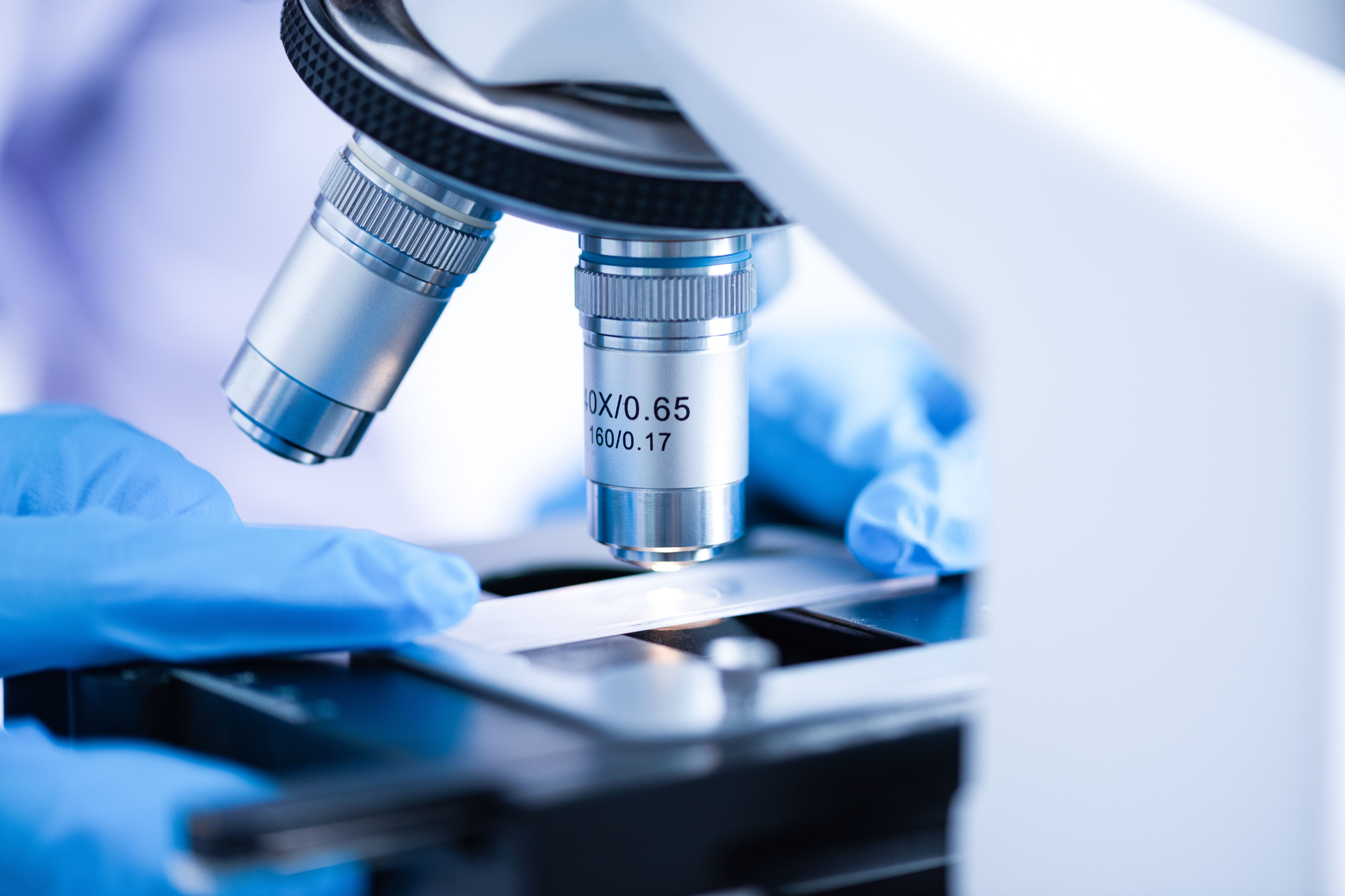 Copyright (c) 2019 Chokniti Khongchum/Shutterstock