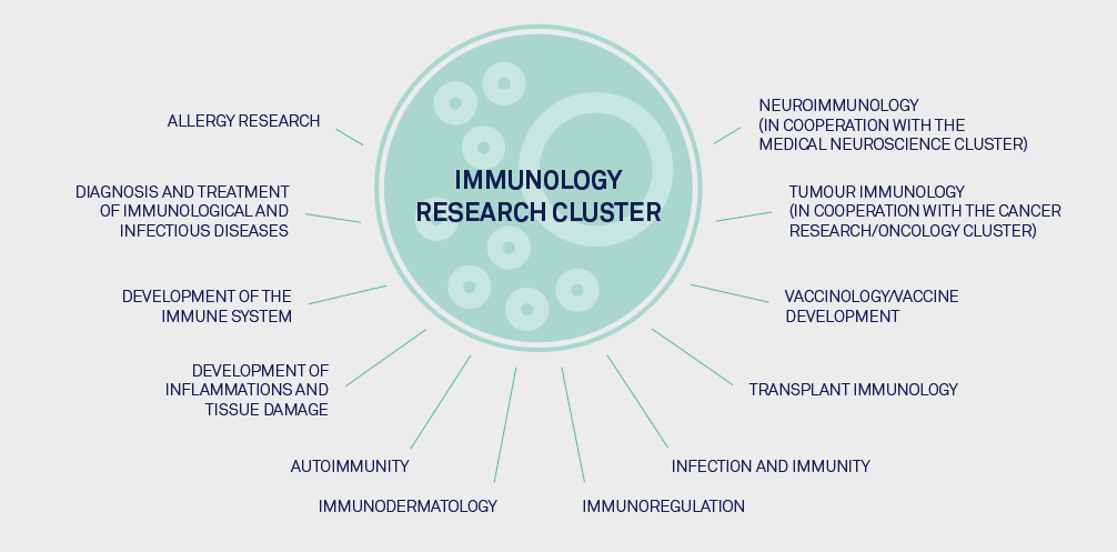 Illustration Immunology Research Cluster