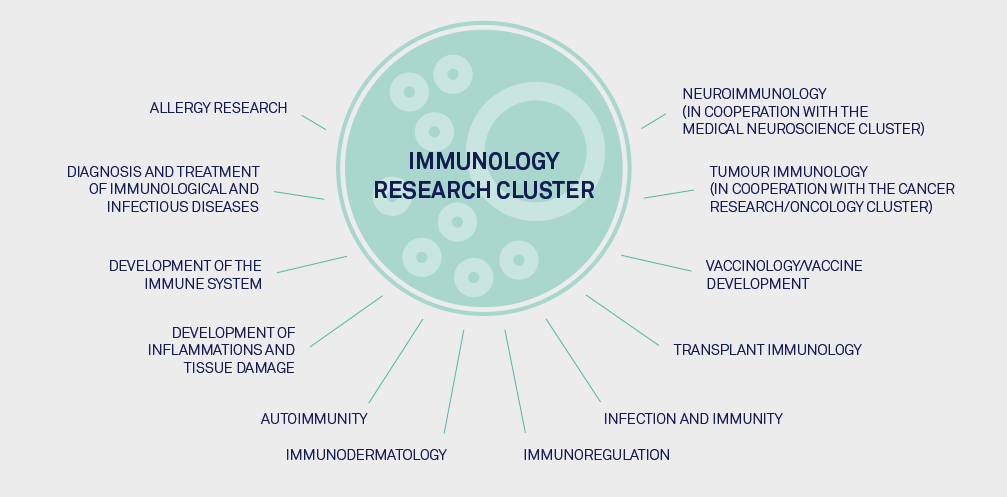 Illustration Immunology Research Cluster