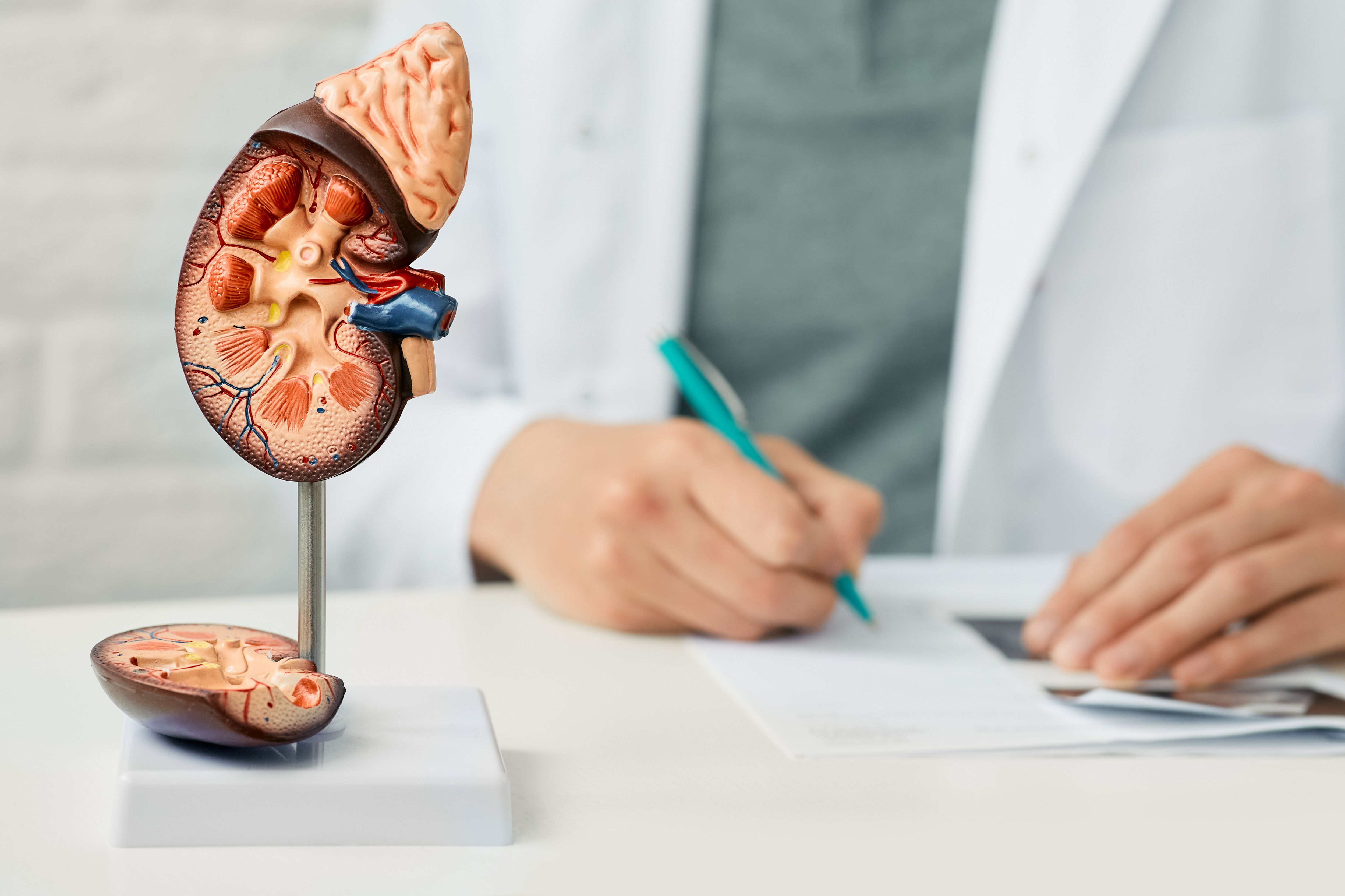 Copyright (c) 2021 Peakstock/Shutterstock