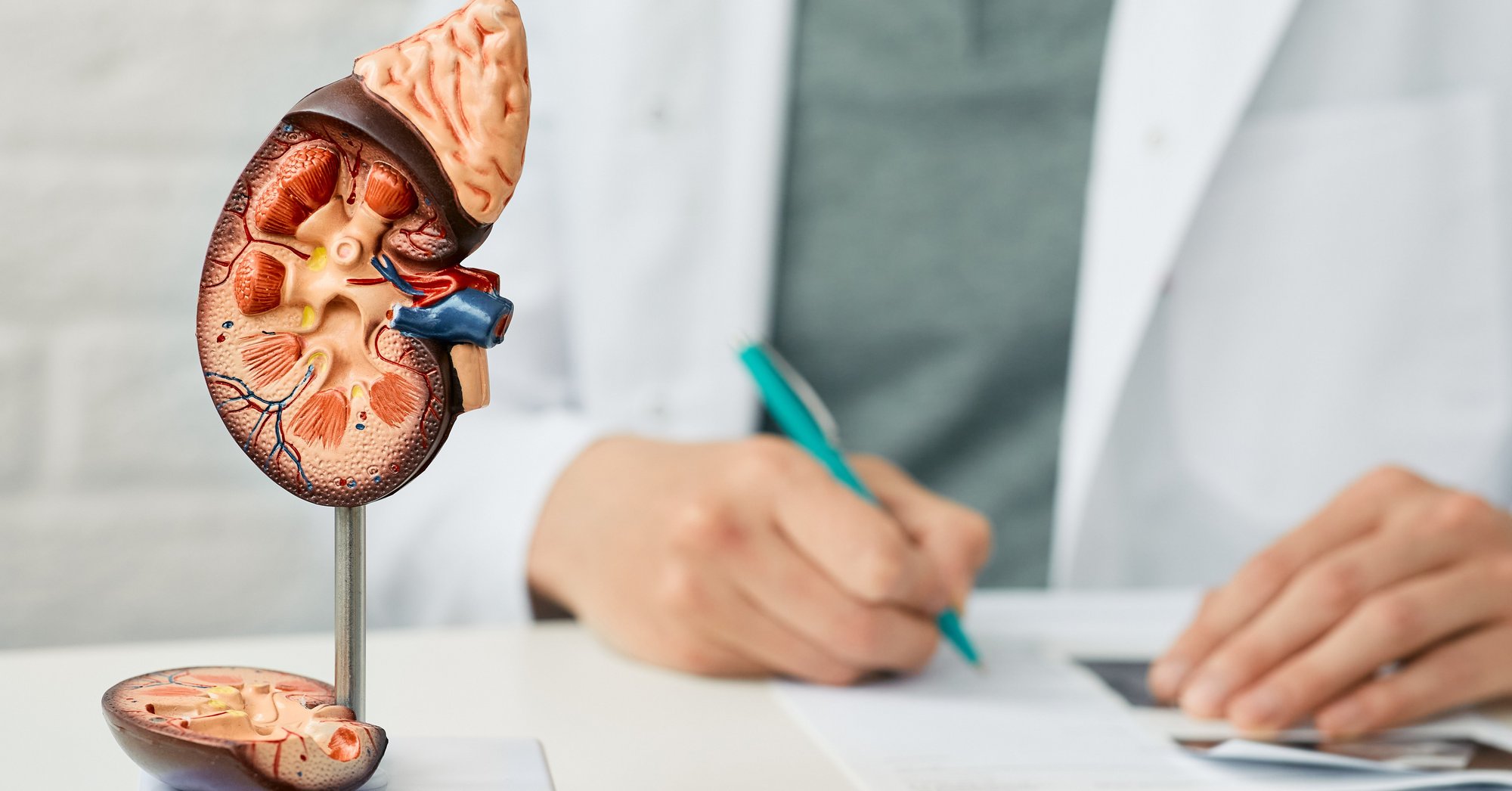 Nephrologist