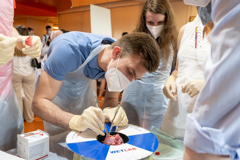 © MedUni Wien/Wache © MedUni Wien/Wache