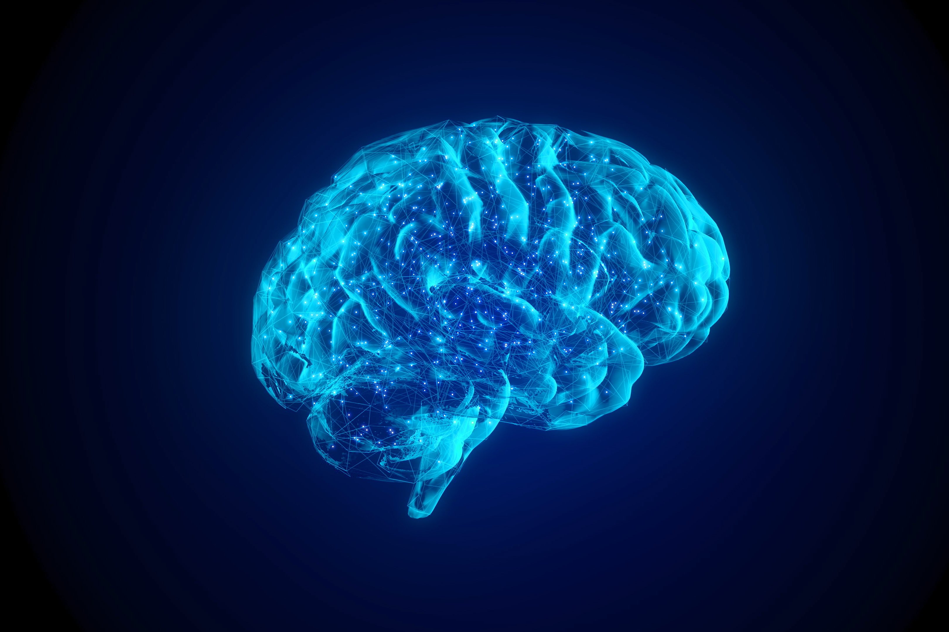 Copyright (c) 2021 hessyz/Shutterstock Copyright (c) 2021 hessyz/Shutterstock