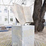 © MedUni Wien/feelimage