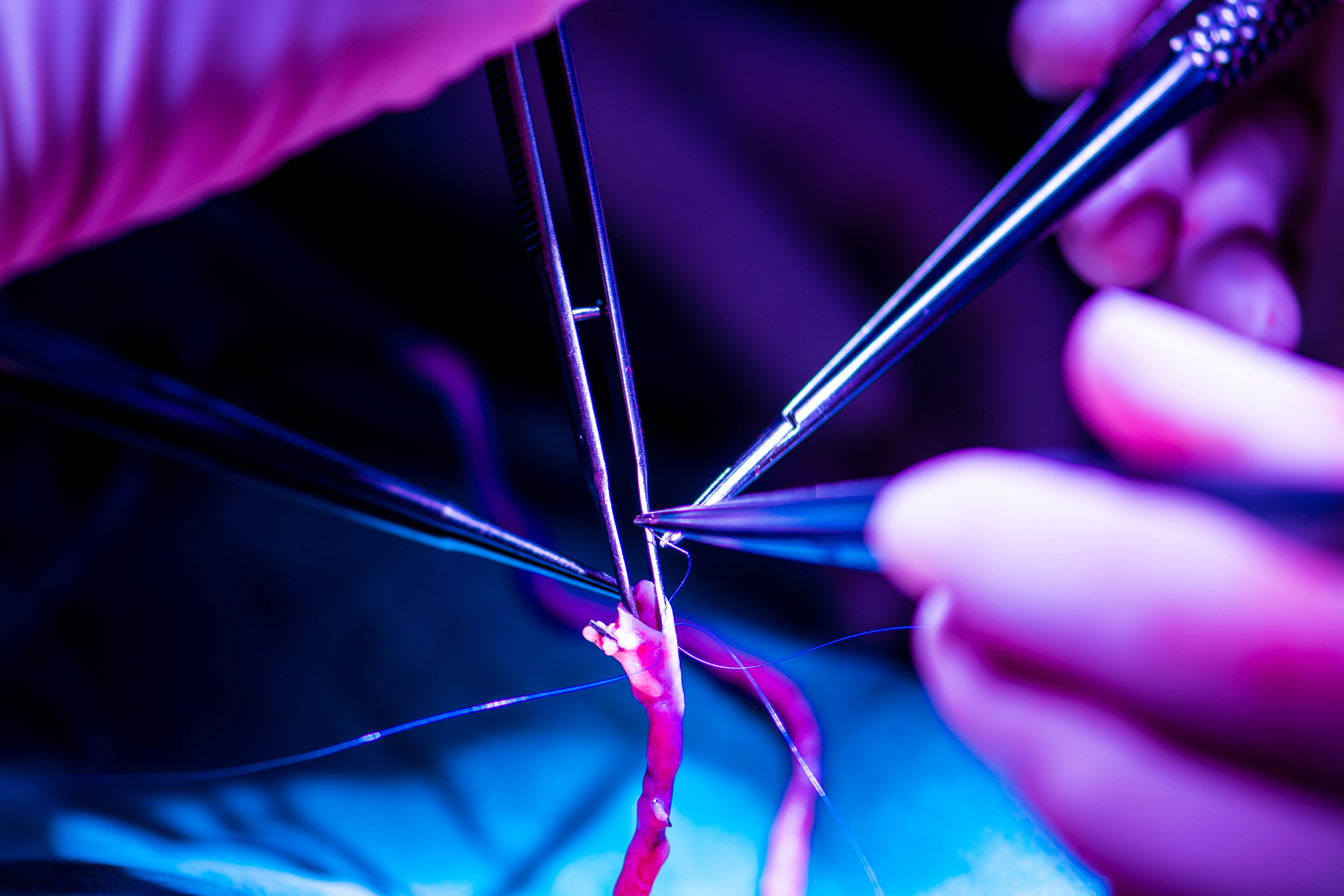 (c) 2018 jarin phirompaksar/Shutterstock