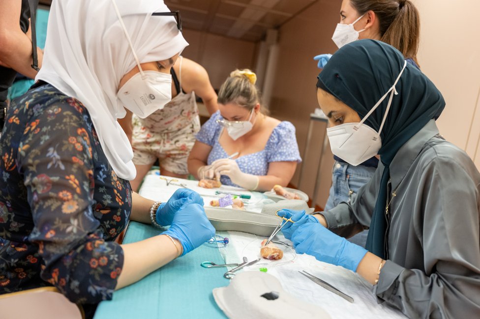 © MedUni Wien/Harson © MedUni Wien/Harson