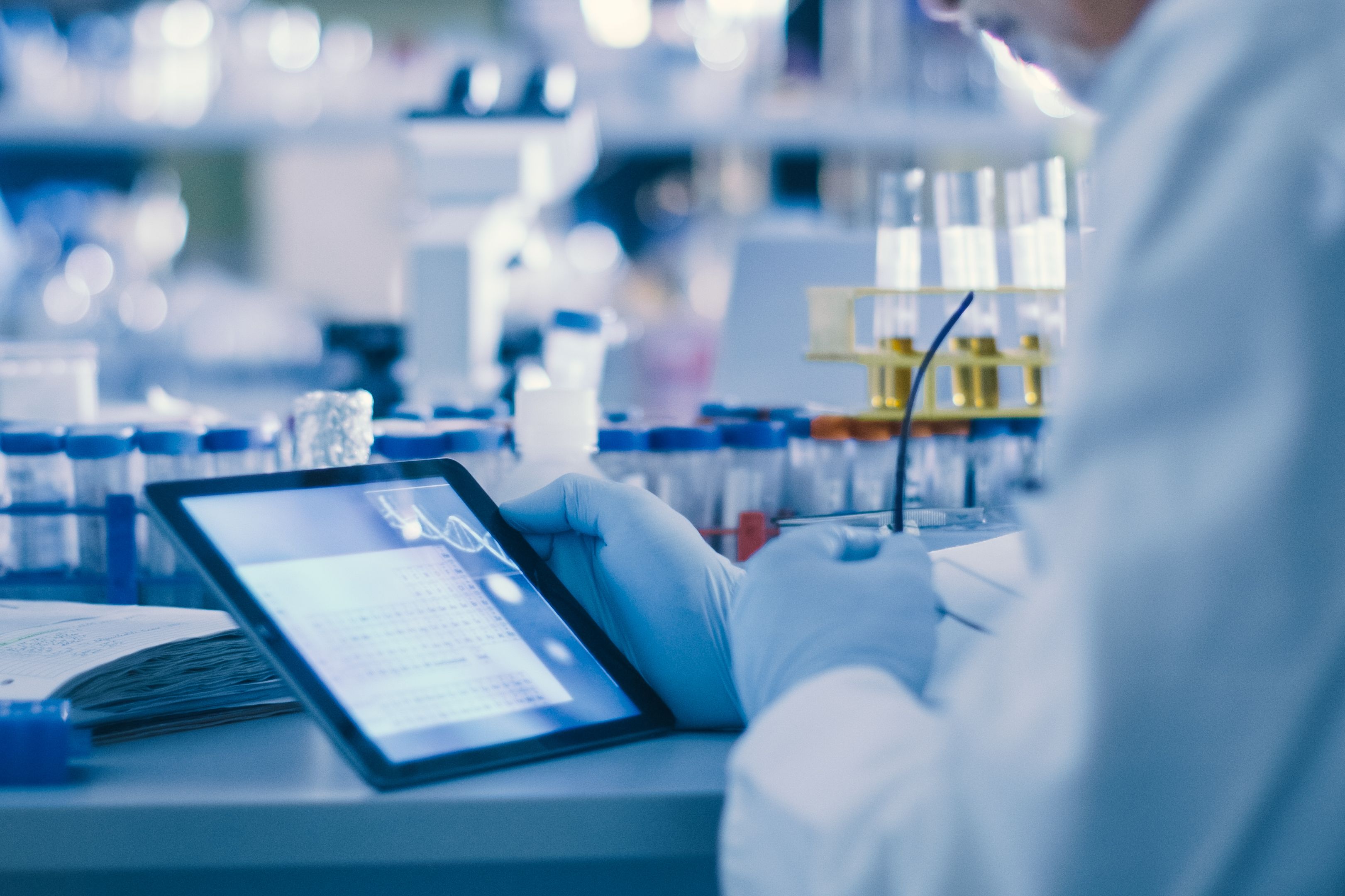 Copyright (c) 2019 Gorodenkoff/Shutterstock