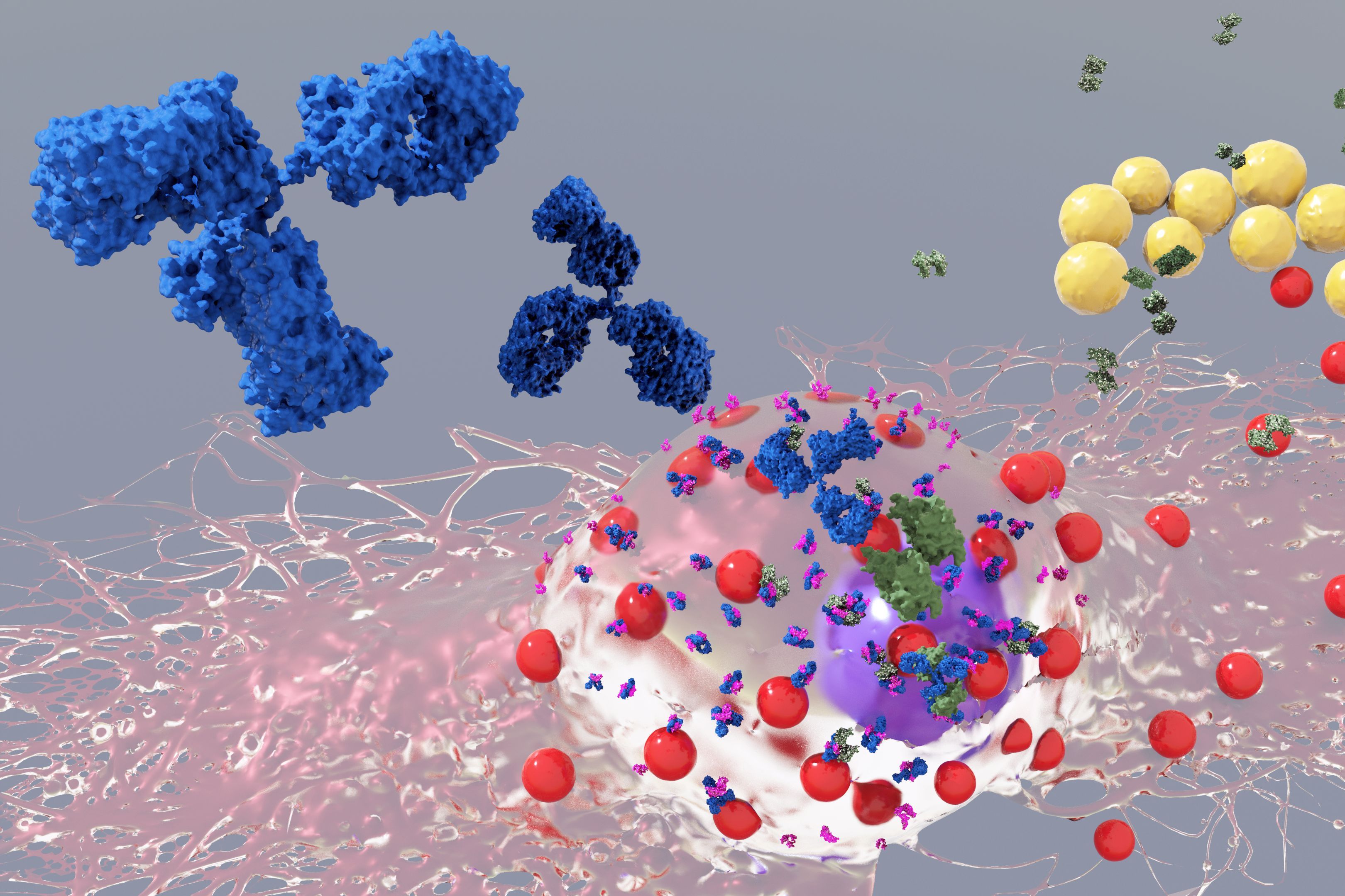 CeMM Research Center for Molecular Medicine