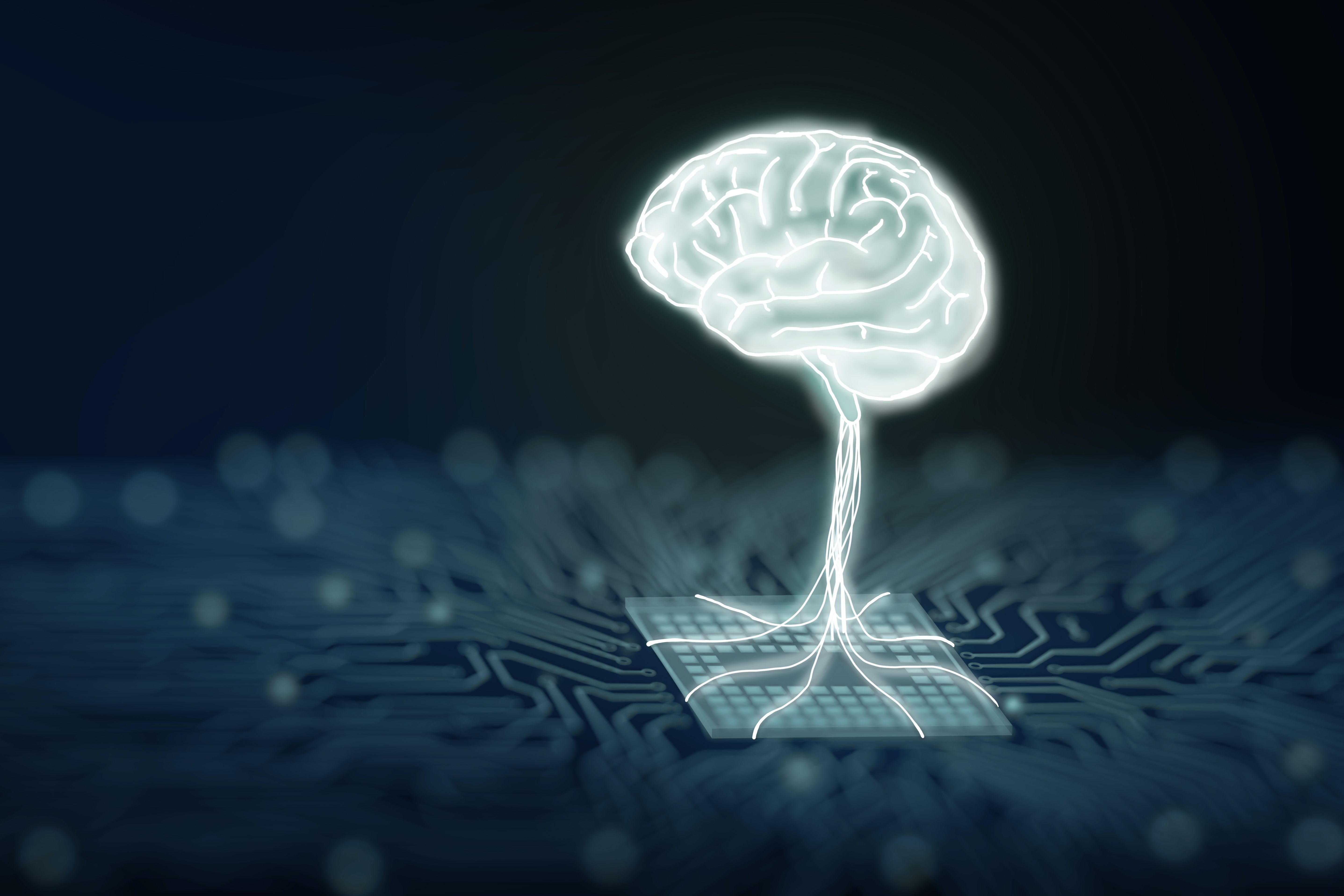 (c) 2022 Usama0309/Shutterstock  