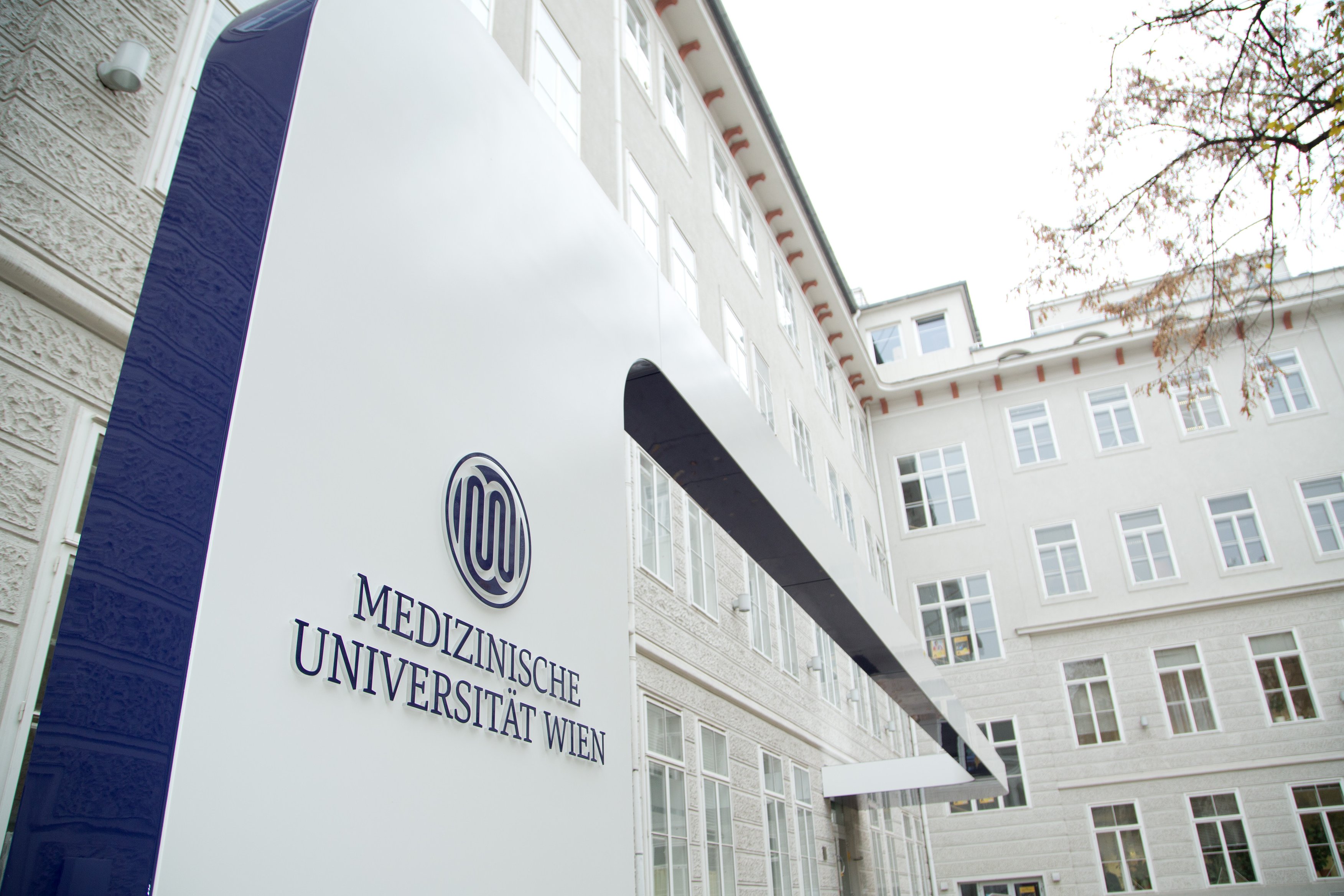 medical university of vienna phd