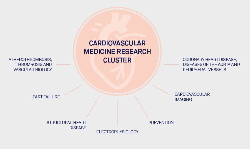 Cardiovascular Medicine Research Cluster