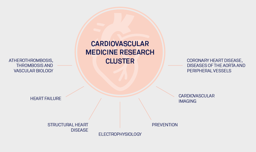 Cardiovascular Medicine Research Cluster