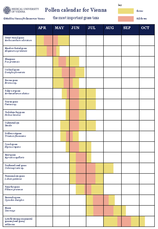 pollen calendar of the most important grasses and their flowering times in Vienna