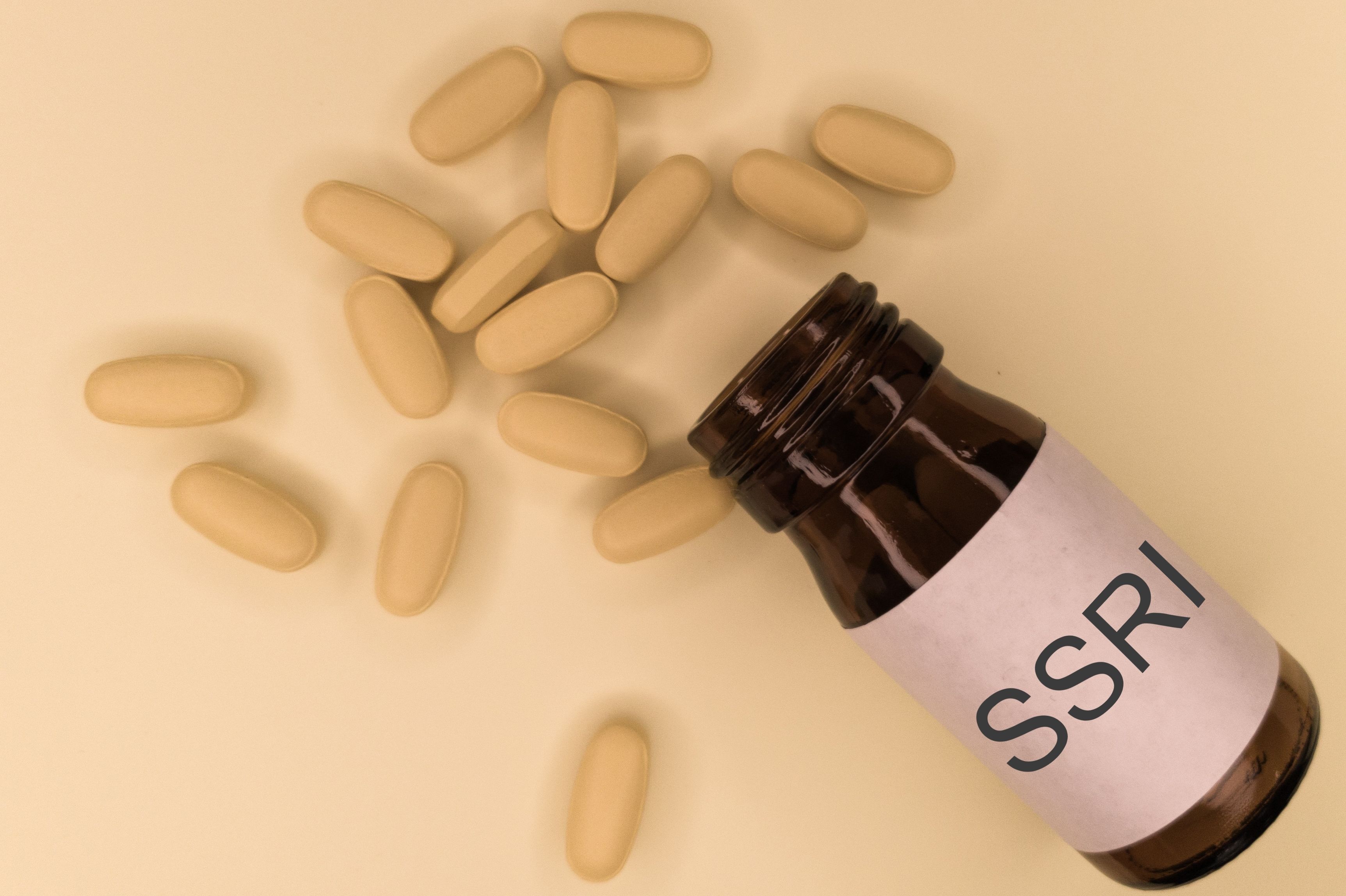 (c) 2022 Sonis Photography/Shutterstock