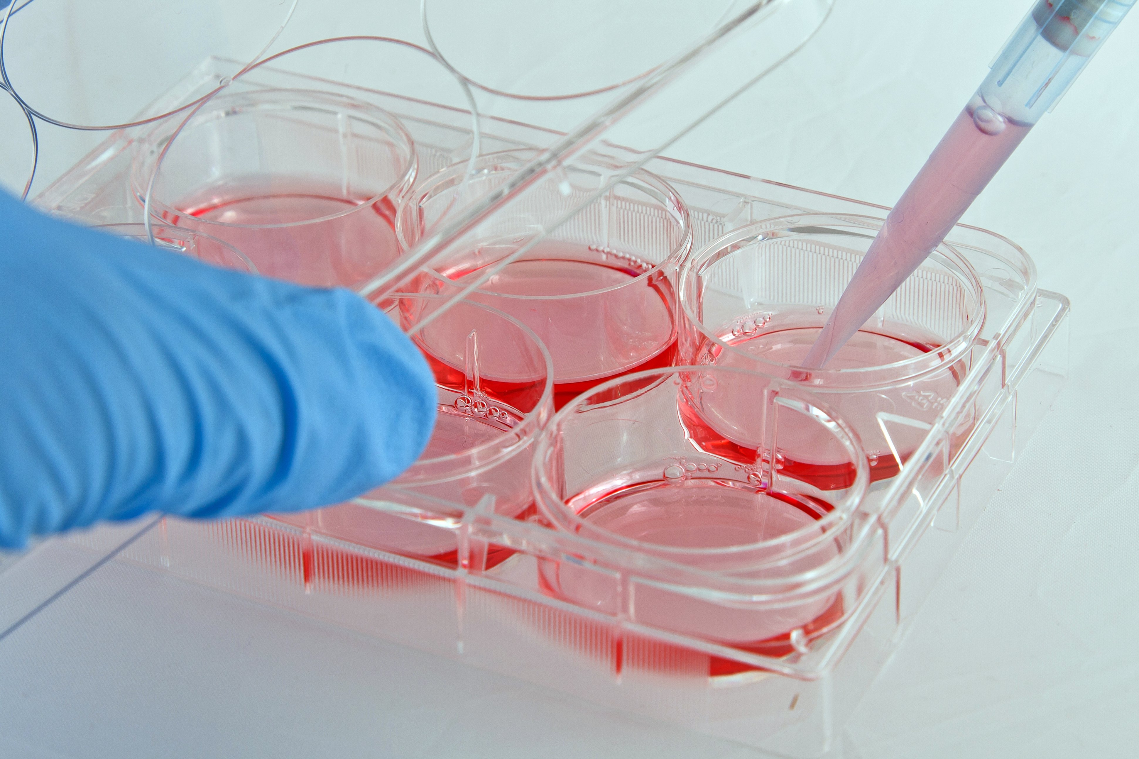 Copyright (c) 2011 Jens Goepfert/Shutterstock Copyright (c) 2011 Jens Goepfert/Shutterstock