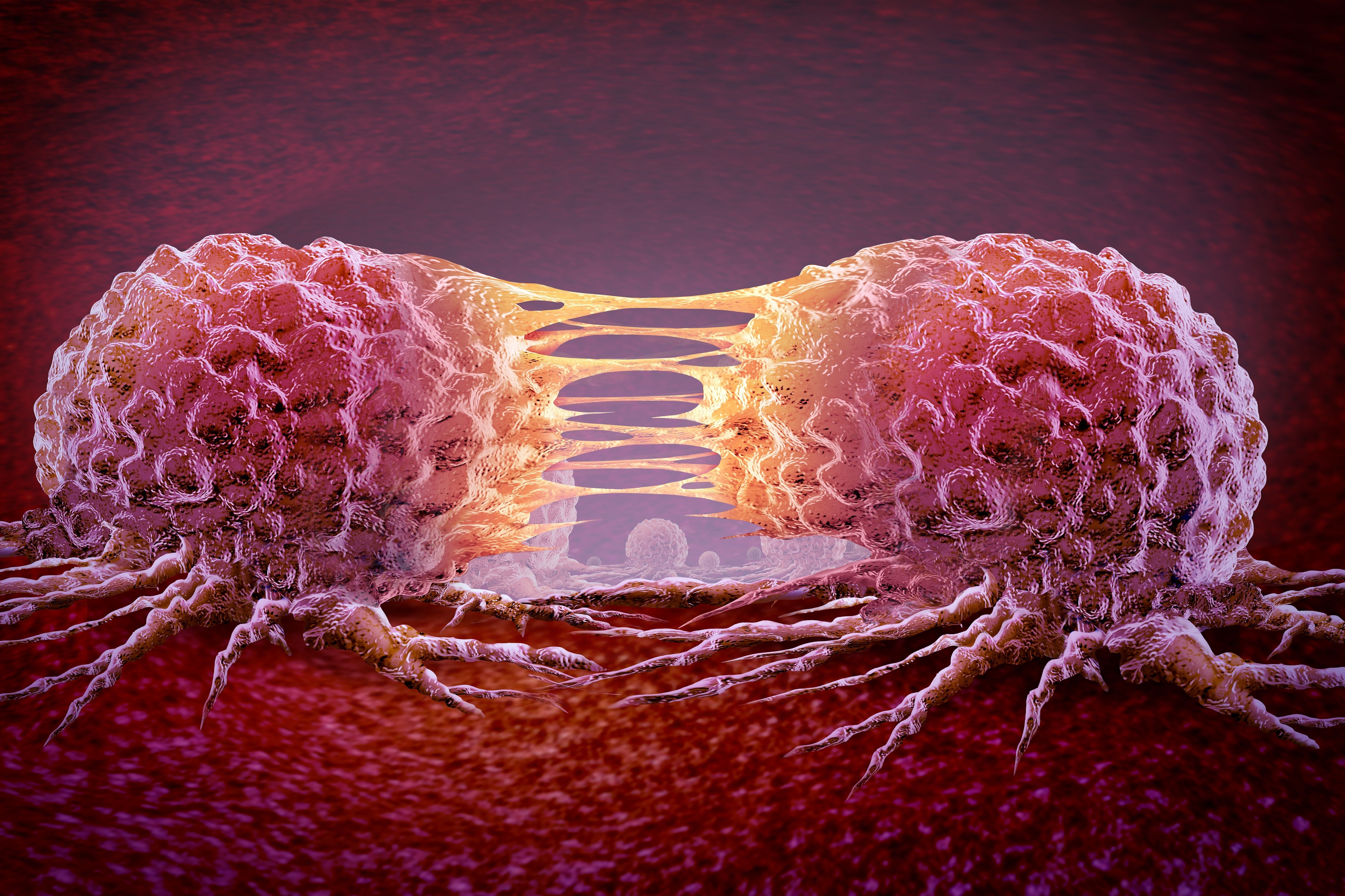 (c) 2023 Lightspring/Shutterstock