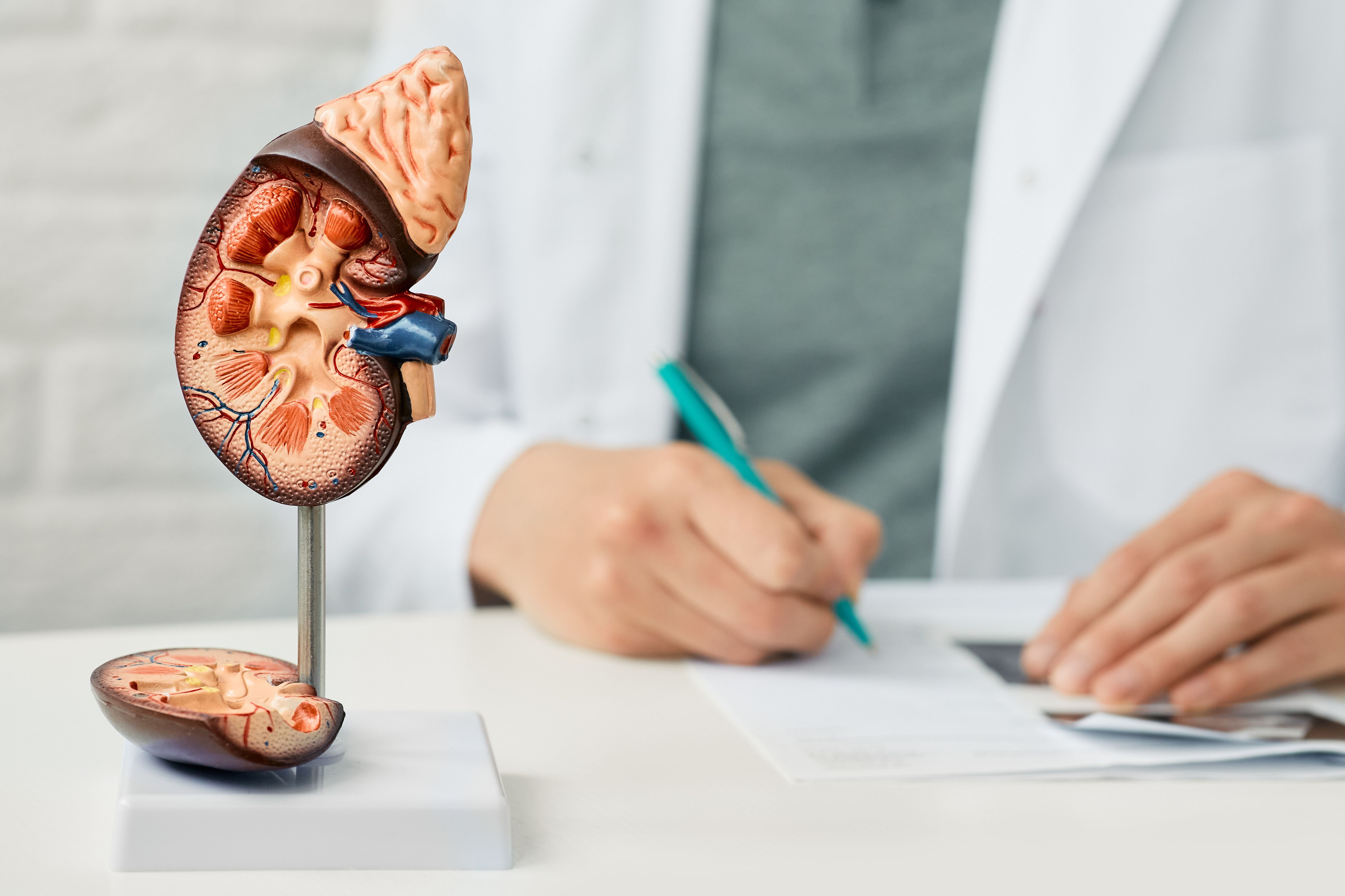 Copyright (c) 2021 Peakstock/Shutterstock