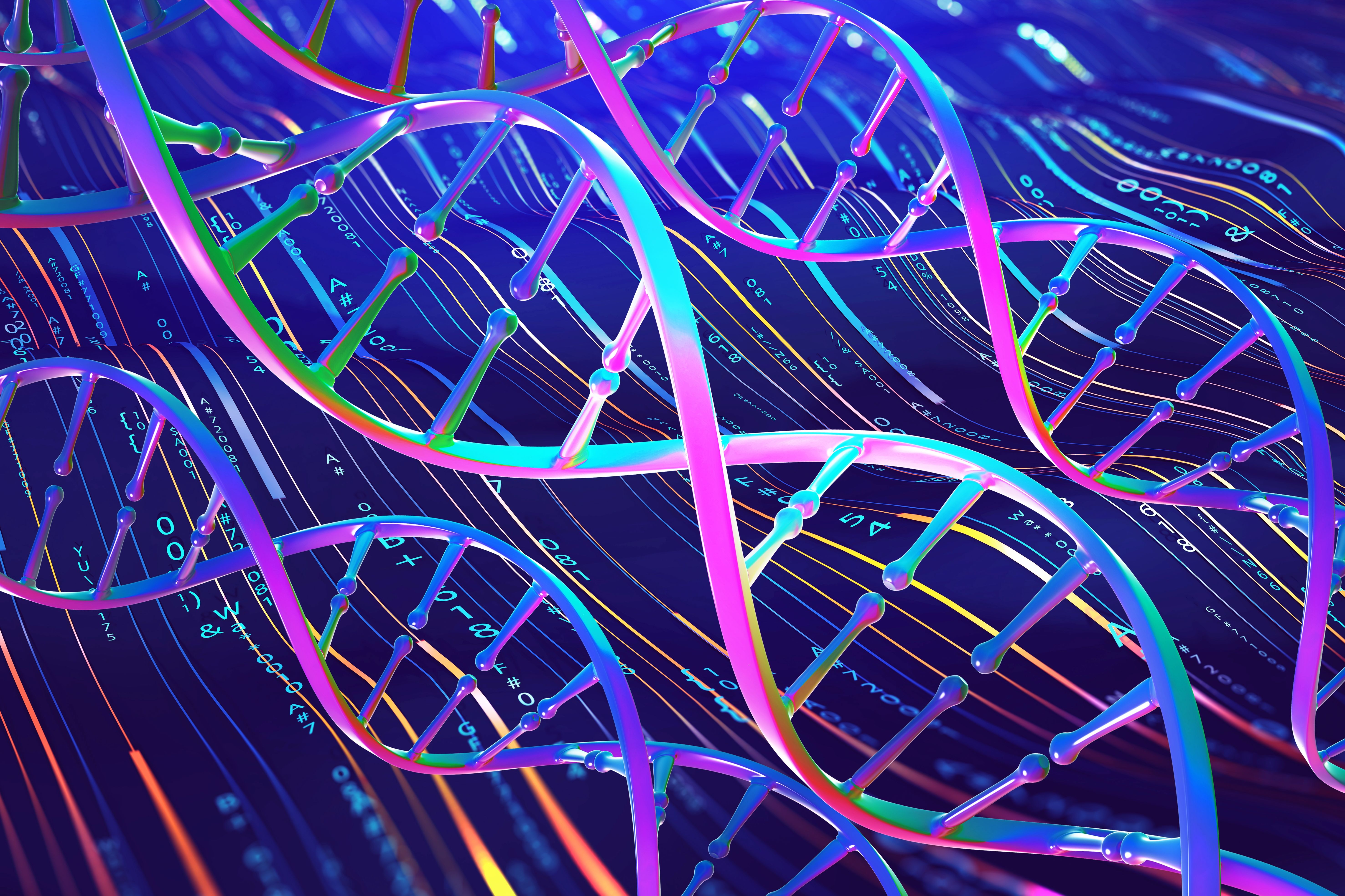 Copyright (c) 2022 Yurchanka Siarhei/Shutterstock