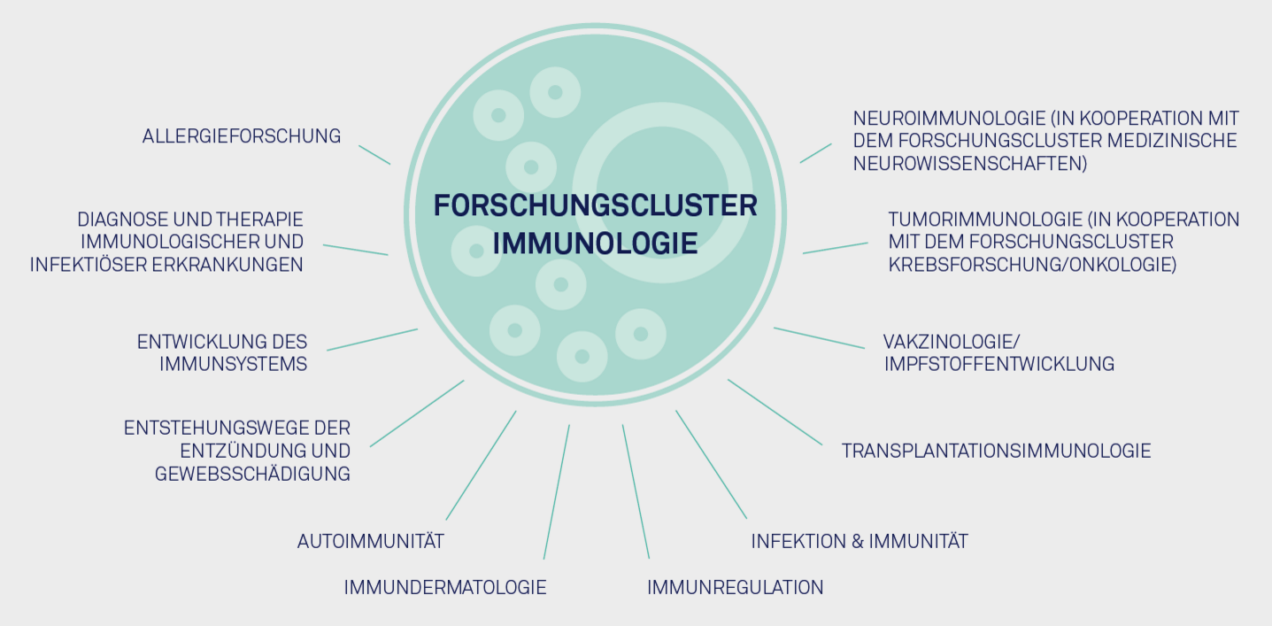 Darstellung Forschungsclusters Immunologie
