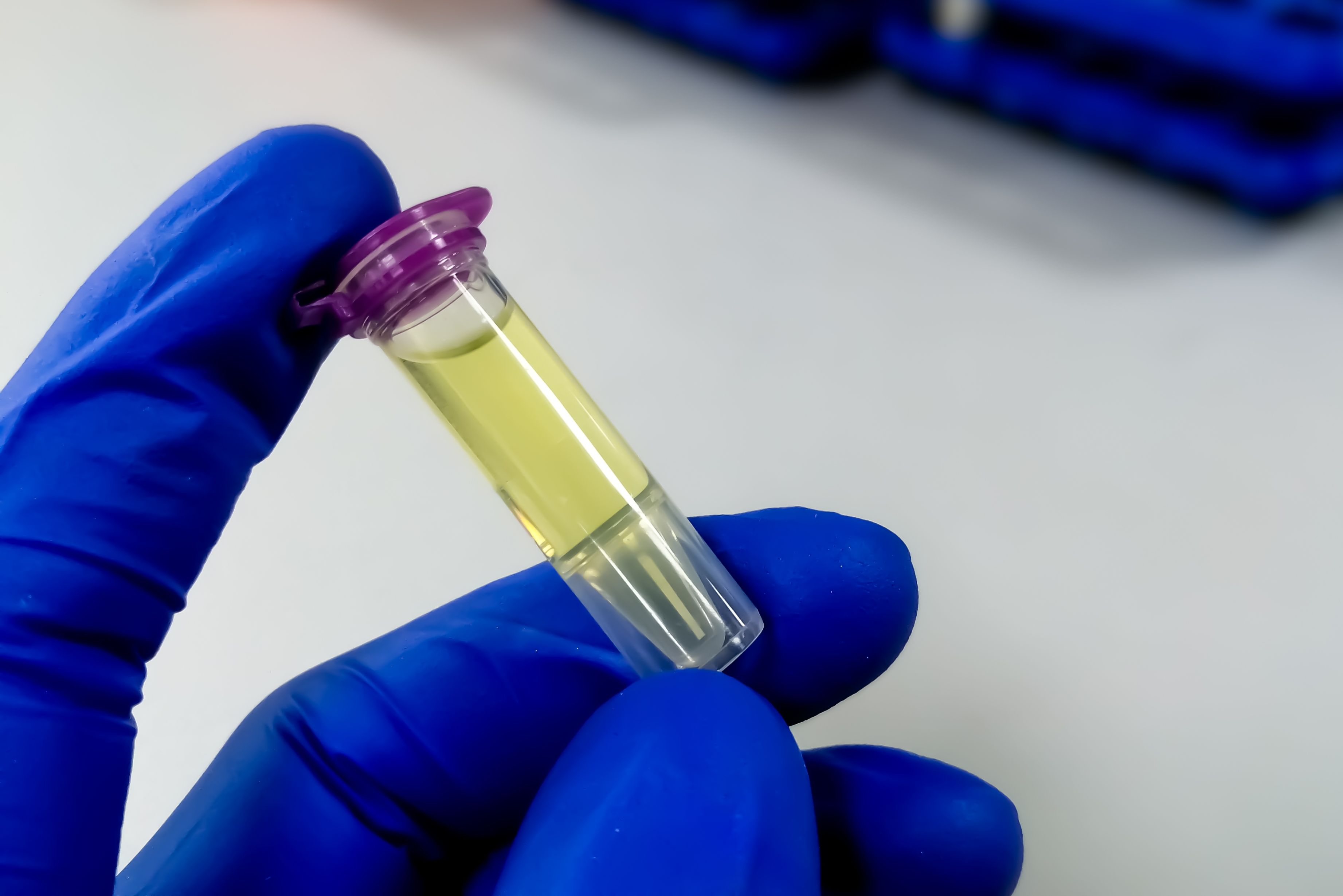 Copyright (c) 2022 Saiful52/Shutterstock