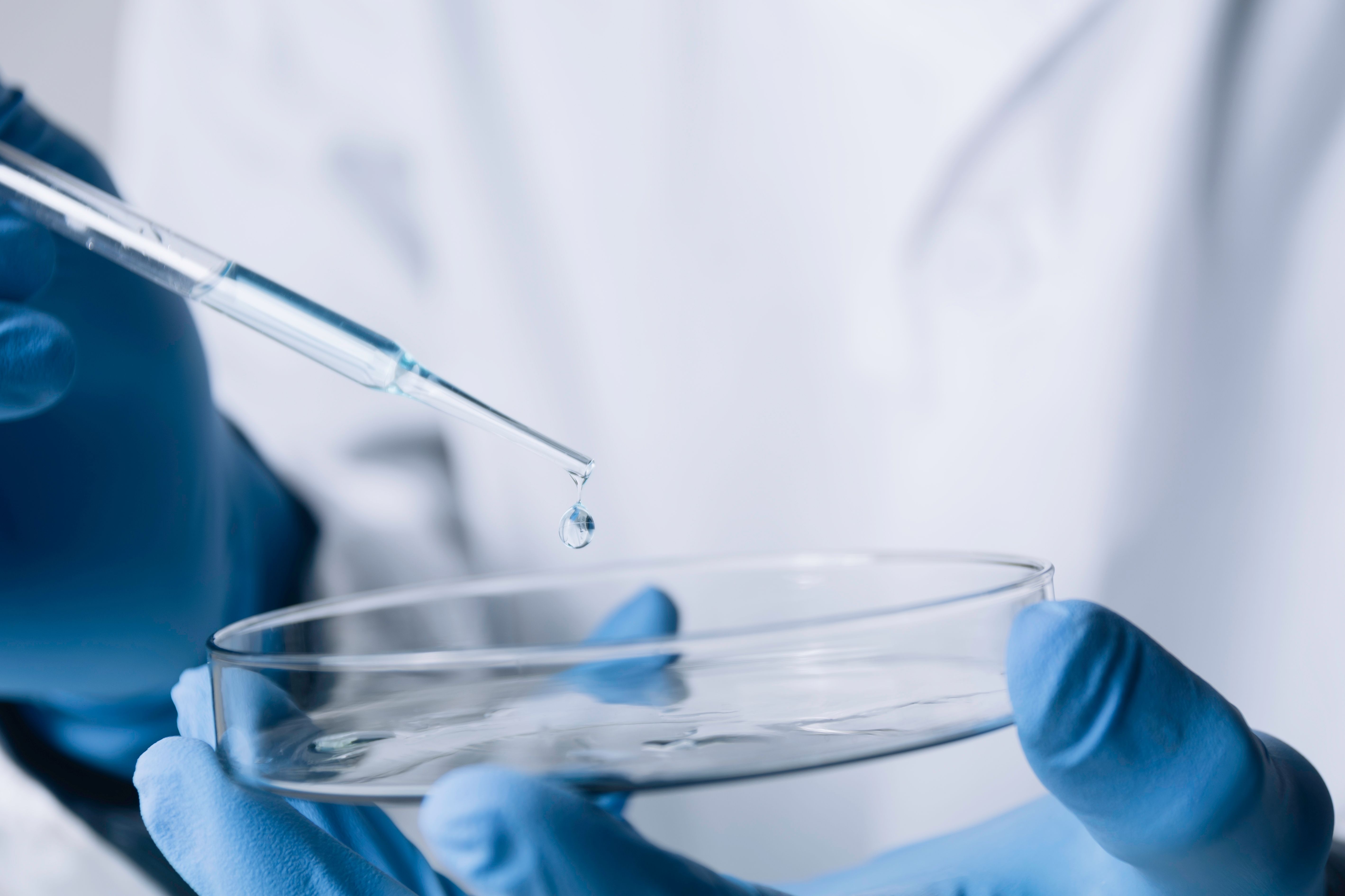 (c) 2022 Krisana Antharith/Shutterstock