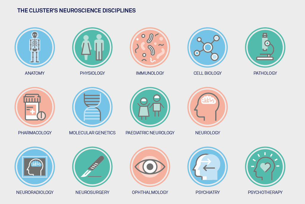 Medical Neuroscience Cluster