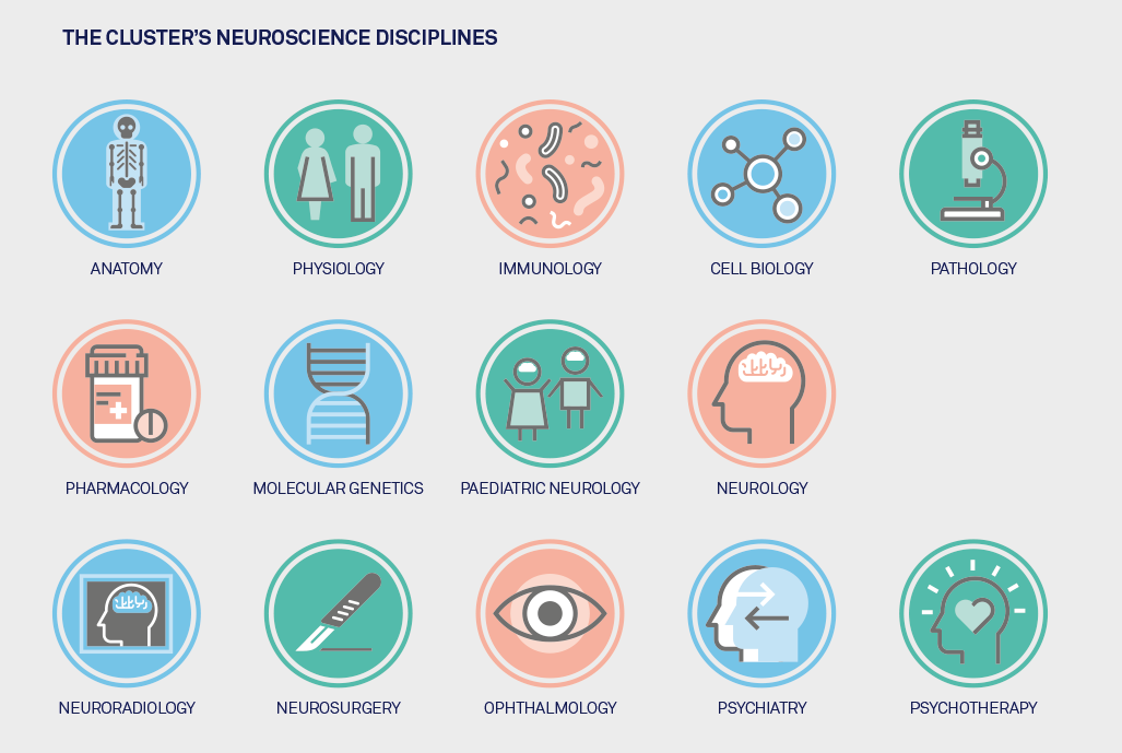 Medical Neuroscience Cluster