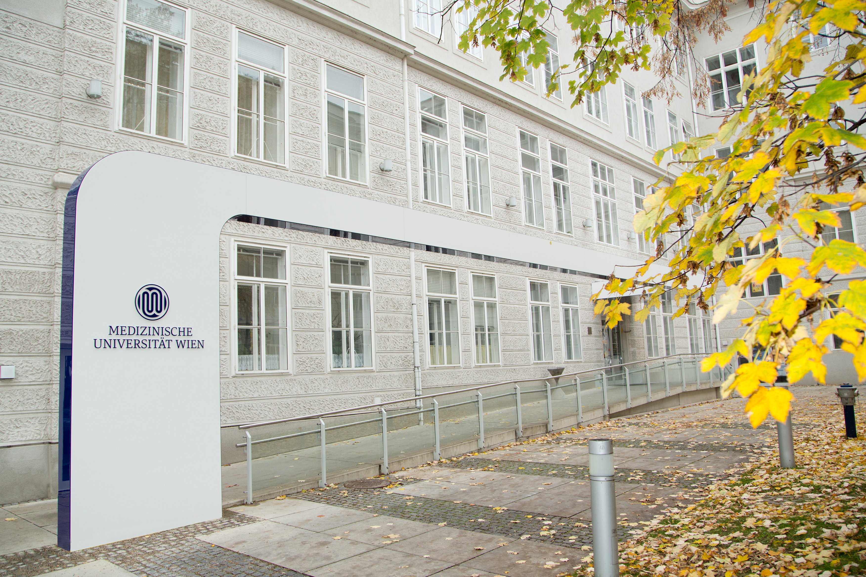 MedUni Wien/feelimage MedUni Wien/feelimage