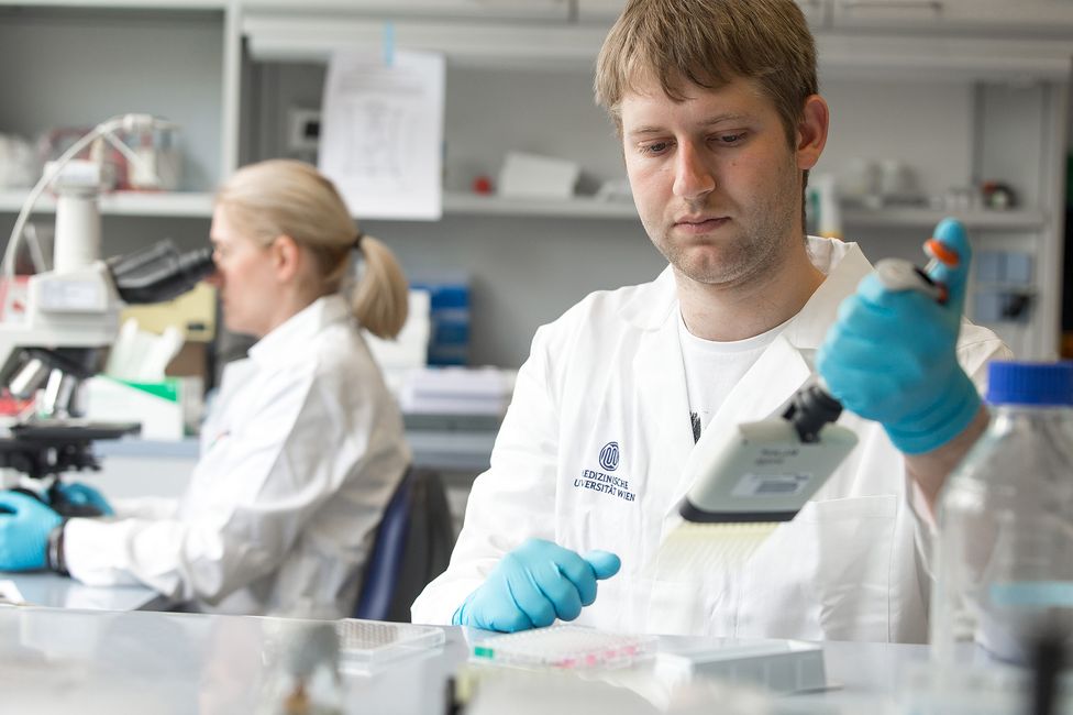 Medizinische Forschung | Labor | © MedUni Wien, Christian Houdek