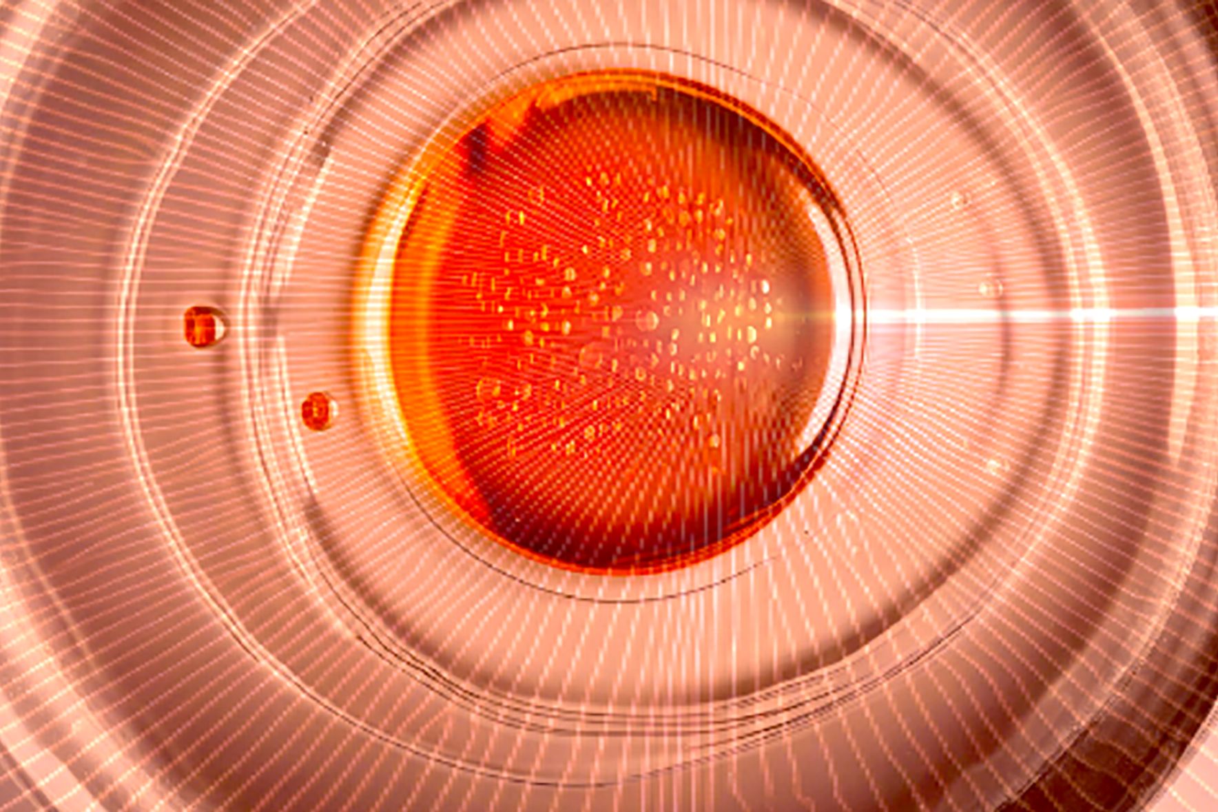 © MedUni Wien/Kareem Elsayad