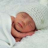 Sarahbean/Shutterstock