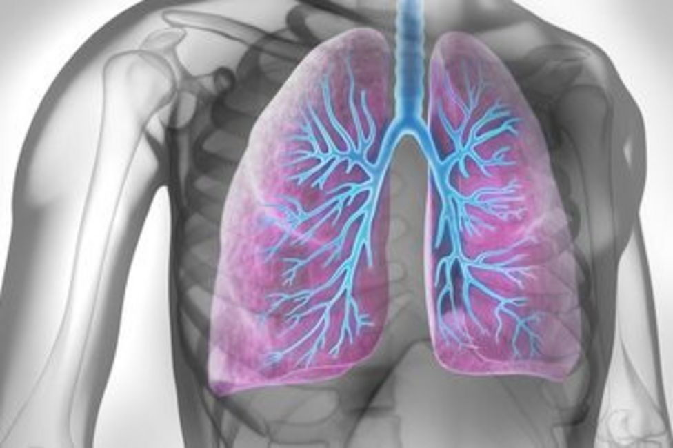 Menschliche Lunge